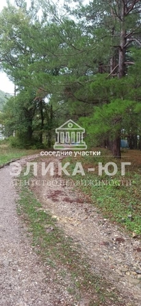 
  Продам  участок ИЖС, 91 соток, Ольгинка

. Фото 5.