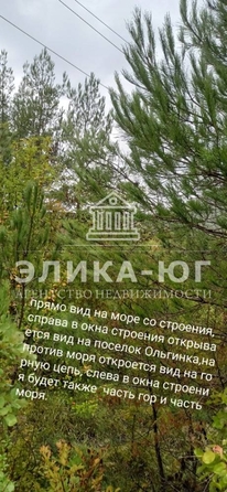 
  Продается земельный участок, 91 сотка, село Ольгинка
. Фото 6.