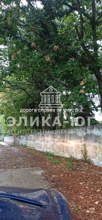 
  Продается земельный участок 91 сотка. Фото 7.