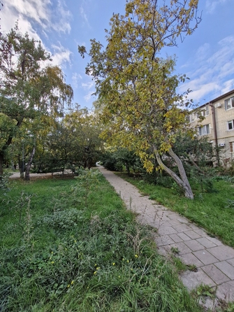 
   Продам 1-комнатную, 35 м², Лермонтова ул, 85

. Фото 17.