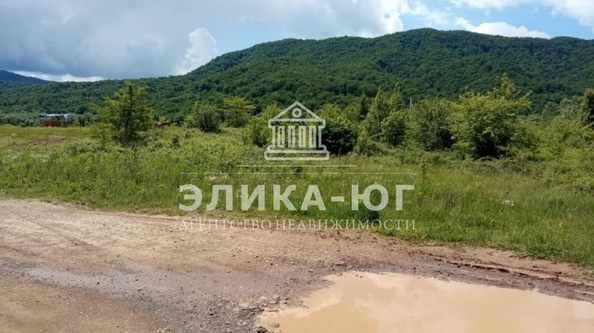 
  Продается земельный участок, 12 соток, село Дефановка
. Фото 2.