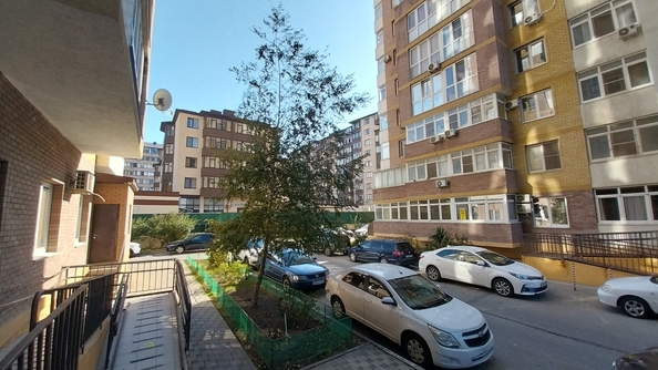 
   Продам 1-комнатную, 45 м², Краснодарская ул, 64Бк1

. Фото 17.