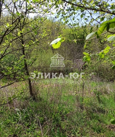 
  Продается земельный участок, 16.4 соток, село Пляхо
. Фото 5.