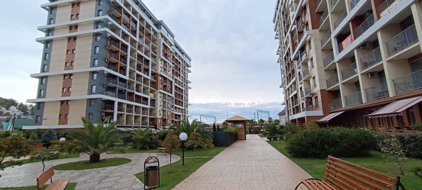 
   Продам 1-комнатную, 38.4 м², Старошоссейная ул, 5с9

. Фото 5.