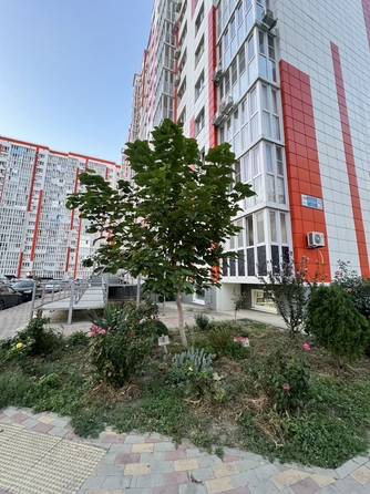 
   Продам студию, 18 м², Адмирала Пустошкина ул, 22к3

. Фото 6.