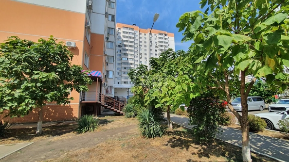 
   Продам 3-комнатную, 54.8 м², Черкасская ул, 135

. Фото 13.