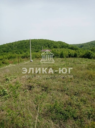 
  Продается земельный участок, 8 соток, село Пляхо
. Фото 3.