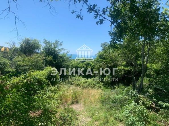 
  Продается земельный участок, 8 соток, поселок турбазы Приморская
. Фото 6.