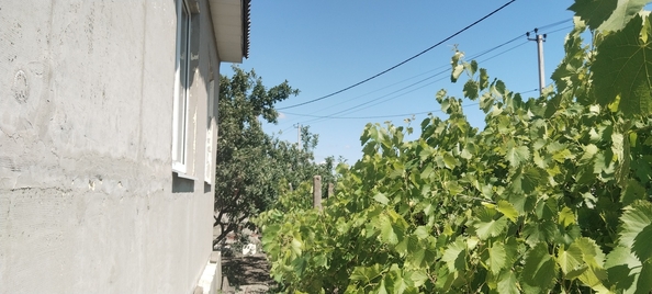
  Продается дом, 100 м², село Цибанобалка
. Фото 2.