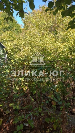 
  Продается земельный участок, 8.7 соток, село Горское
. Фото 3.