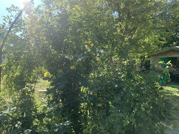 
  Продается дом, 92 м², хутор Куток
. Фото 44.