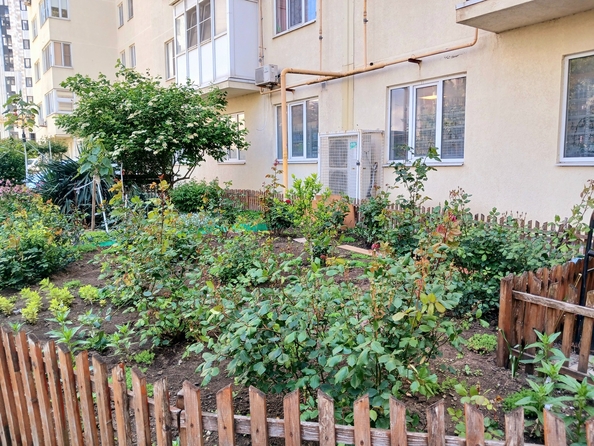 
  Продается 1-комн. квартира, 41 м², Шевченко ул, д. 288Ак2
. Фото 23.