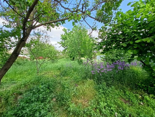 
  Продается дом, 75 м², станица Варениковская
. Фото 5.
