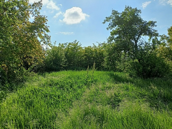 
  Продается дом, 90 м², станица Варениковская
. Фото 9.