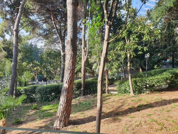 
  Продается апартамент, 23 м², Курортный пр-кт, д. 70
. Фото 10.