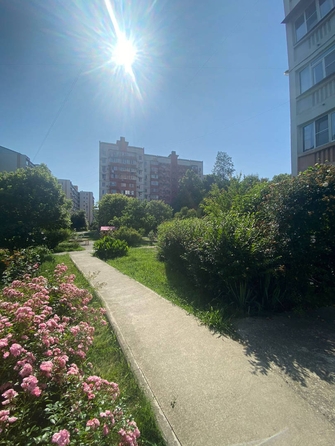 
  Продается 2-комн. квартира, 63 м², Батумское шоссе ул, д. 67
. Фото 17.