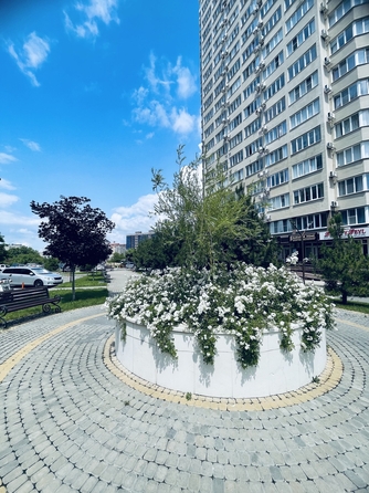 
  Продается студия, 27 м², Владимирская ул, д. 154к4
. Фото 12.