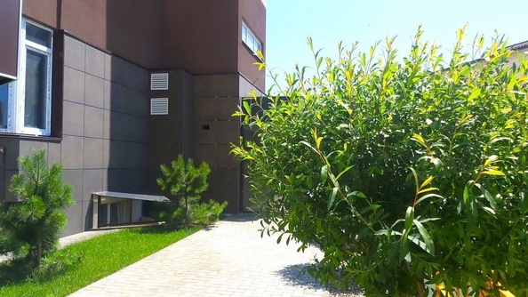 
  Продается студия, 35 м², Рождественская ул, д. 55к2
. Фото 10.
