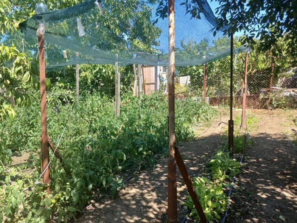 
  Продается дом, 75 м², станица Анапская
. Фото 48.