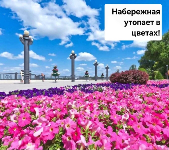 
  Продается 1-комнатный апартамент, 46 м², Кирова ул, д. 1
. Фото 17.