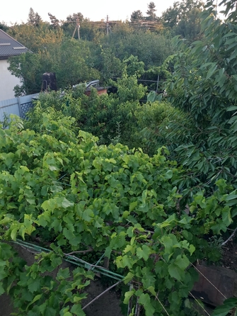 
  Продам дом, 40.5 м², Краснодар
. Фото 8.