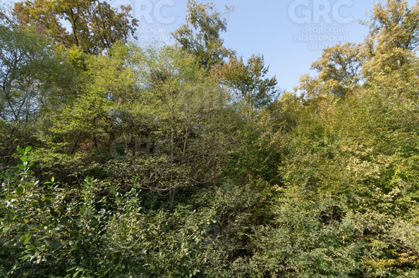 
  Продается 2-комнатный апартамент, 47.9 м², Известинская ул, д. 29/2
. Фото 8.