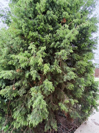 
  Продается дом, 146 м², село Сукко
. Фото 1.