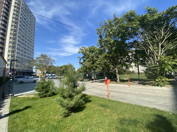 
  Продается студия, 26 м², Рождественская ул, д. 55к3
. Фото 17.