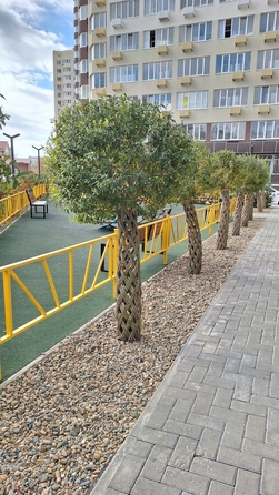 
  Продается студия, 29 м², Рождественская ул, д. 55к2
. Фото 2.