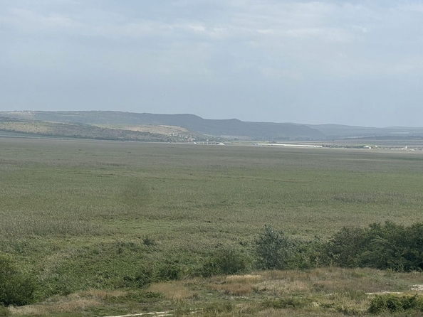 
  Продается студия, 30 м², Кати Соловьяновой ул, д. 286
. Фото 14.