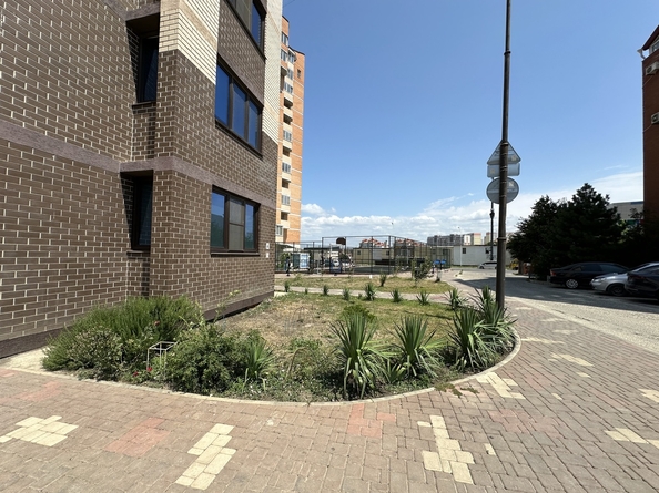 
  Продается студия, 25 м², Владимирская ул, д. 142
. Фото 20.