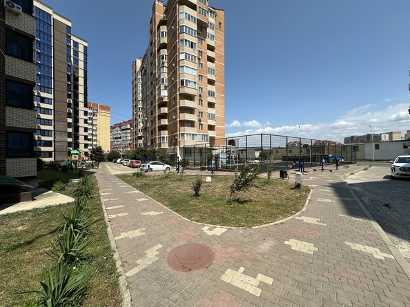 
  Продается студия, 25 м², Владимирская ул, д. 142
. Фото 22.
