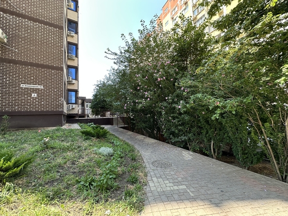 
  Продается студия, 25 м², Владимирская ул, д. 142
. Фото 27.