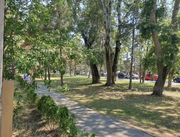 
  Продается студия, 35 м², Пионерский пр-кт, д. 274Б
. Фото 11.