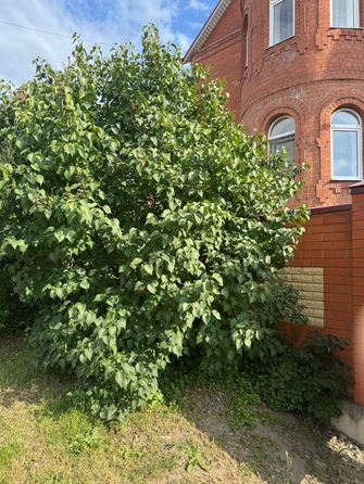 
  Продается 2-комн. квартира, 53 м², Николаевская ул, д. 10
. Фото 16.
