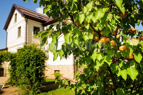 
  Продается дом, 769 м², хутор Ленина
. Фото 36.