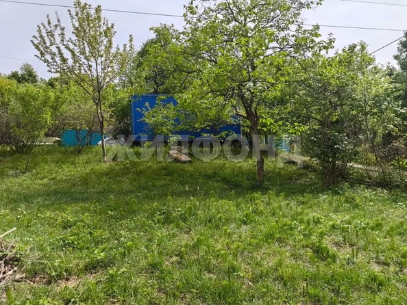 
  Продается земельный участок, 0 соток, село Богушевка
. Фото 2.