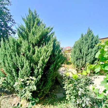 
  Продается дом, 152 м², станица Анапская
. Фото 28.