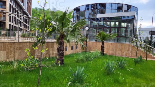 
  Продается студия, 25.4 м², Батумское шоссе ул
. Фото 2.