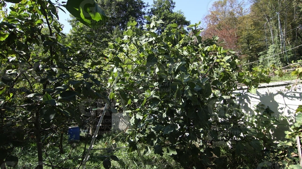 
  Продается дом, 140 м², Сочи
. Фото 21.