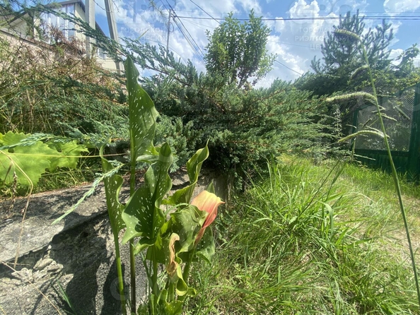 
  Продается дом, 83 м², Сочи
. Фото 6.