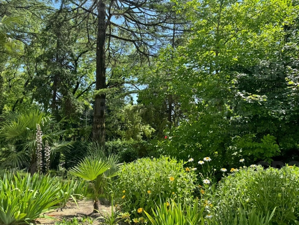 
  Продается 3-комнатный апартамент, 157.5 м², Виноградная ул, д. 14
. Фото 20.