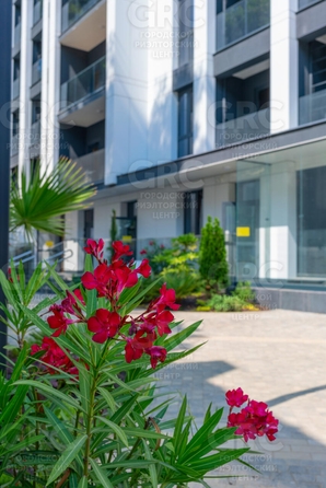 
  Продается 1-комн. квартира, 43.7 м², Цюрупы ул, д. 13Б
. Фото 5.