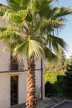 
  Продается дом, 544 м², Сочи
. Фото 9.