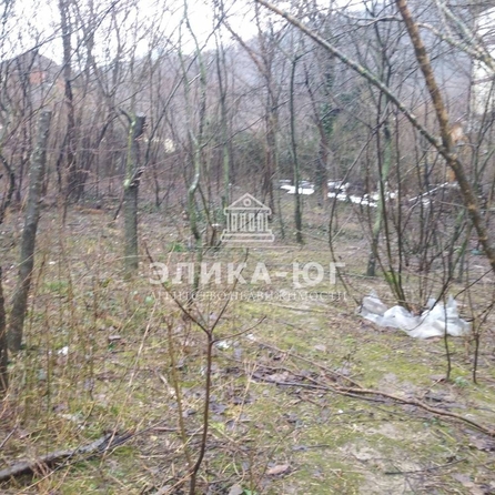 
  Продается земельный участок, 35.3 соток, село Ольгинка
. Фото 7.