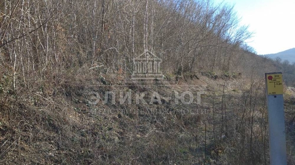 
  Продается земельный участок, 7 соток, поселок городского типа Новомихайловский
. Фото 6.