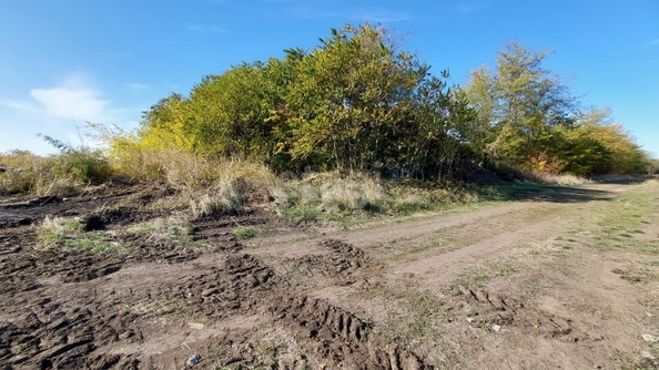 
  Продается земельный участок 10 соток. Фото 4.