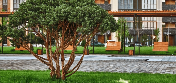 
  Продается 3-комн. квартира 78.2 м², в ЖК Образцово, дом 10. Фото 8.