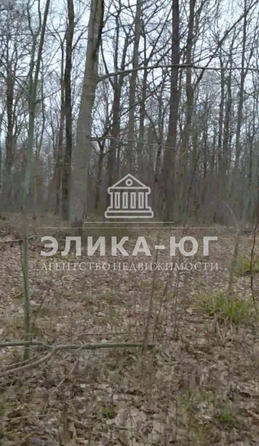 
  Продам  дачный участок, 18 соток, Новомихайловский

. Фото 2.