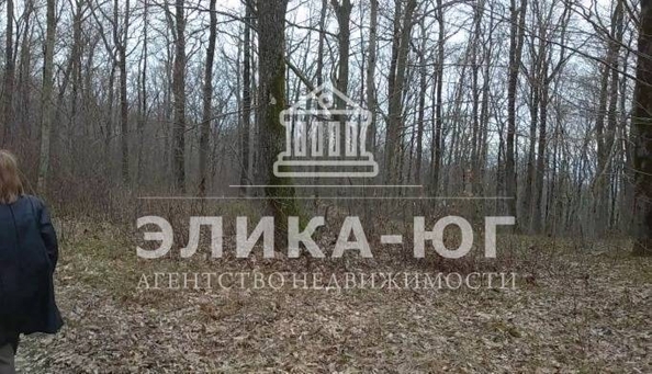 
  Продается земельный участок 18 соток. Фото 3.